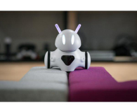 Photon Entertainment Robot Photon wersja domowa - 427557 - zdjęcie 5